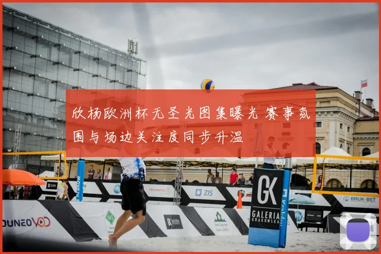 欣杨欧洲杯无圣光图集曝光 赛事氛围与场边关注度同步升温
