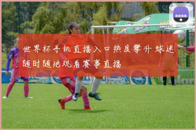 世界杯手机直播入口热度攀升 球迷随时随地观看赛事直播