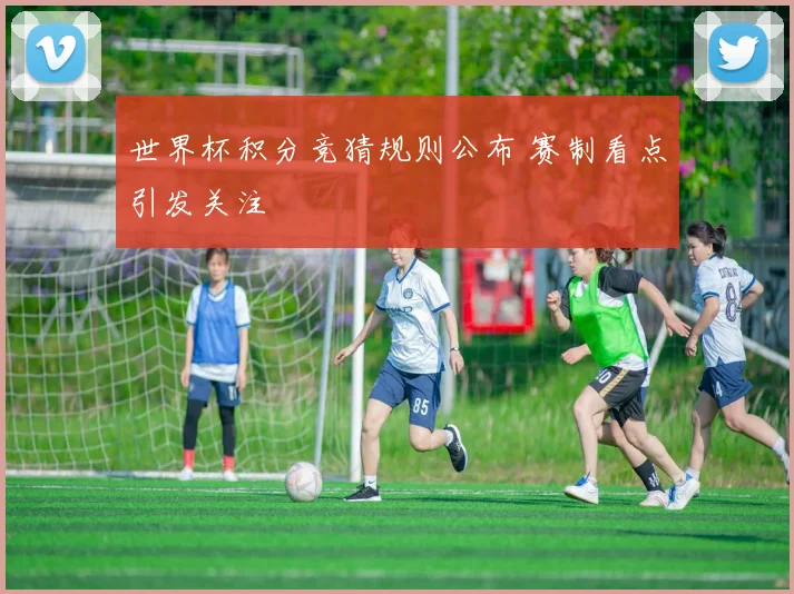 世界杯积分竞猜规则公布 赛制看点引发关注