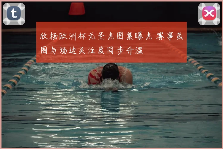 欣杨欧洲杯无圣光图集曝光 赛事氛围与场边关注度同步升温