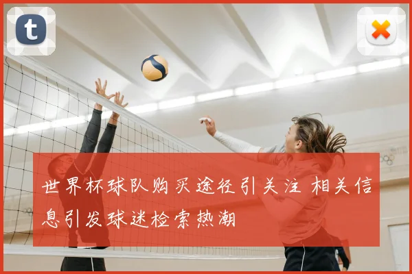 世界杯球队购买途径引关注 相关信息引发球迷检索热潮