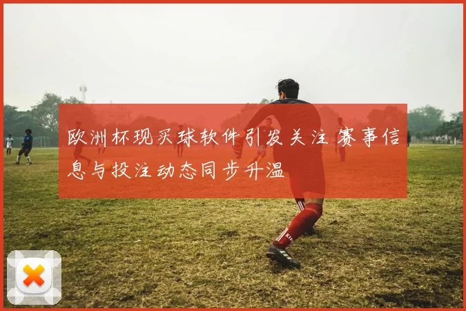 欧洲杯现买球软件引发关注 赛事信息与投注动态同步升温