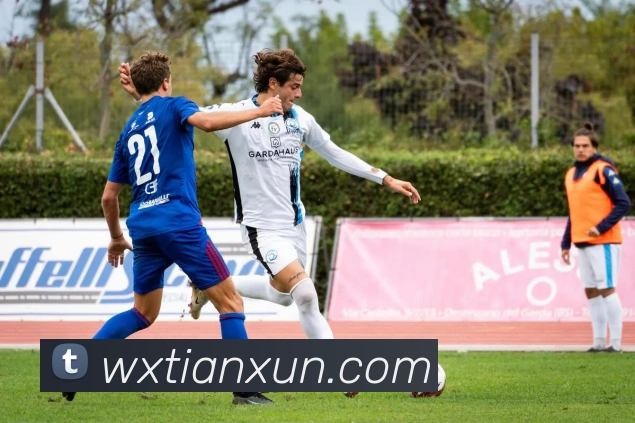 hth网址平台生态图